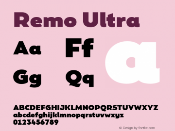 Remo Ultra Version 4.001图片样张