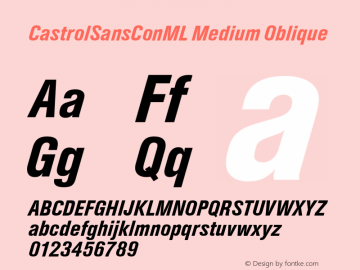 CastrolSansConML-MediumObl Version 1.001 2018图片样张