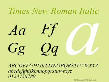 Times New Roman Italic Version 2.01图片样张