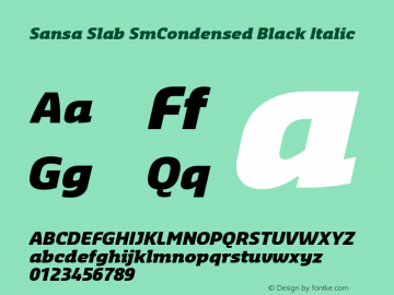 SansaSlabSmCondensed-BlackItalic Version 3.001图片样张