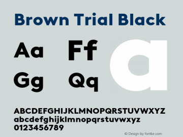 Brown Trial Black Version 4.000; build 0029图片样张