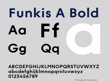 Funkis A Bold Version 1.000;PS 001.000;hotconv 1.0.88;makeotf.lib2.5.64775图片样张