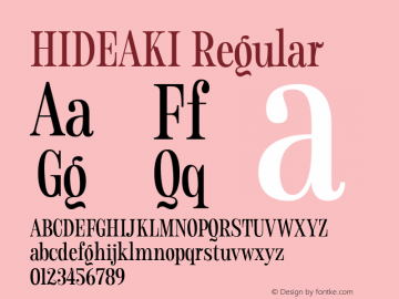 HIDEAKI Regular Version 1.000;FEAKit 1.0图片样张