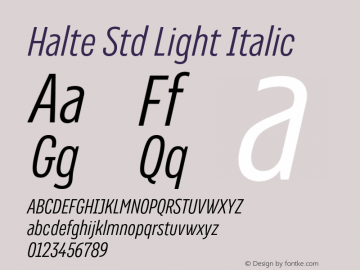 Halte Std Lt Ita Version 1.0; 2018图片样张