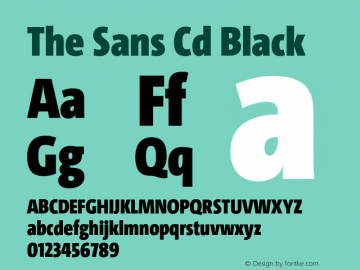 The Sans Cd  Black Version 4.025图片样张