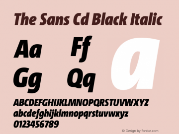 The Sans Cd  Black Italic Version 4.025图片样张