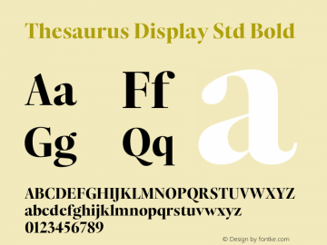 Thesaurus Display Std Bold Version 1.000;PS 001.000;hotconv 1.0.88;makeotf.lib2.5.64775图片样张