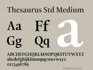 Thesaurus Std Medium Version 1.000;PS 001.000;hotconv 1.0.88;makeotf.lib2.5.64775图片样张