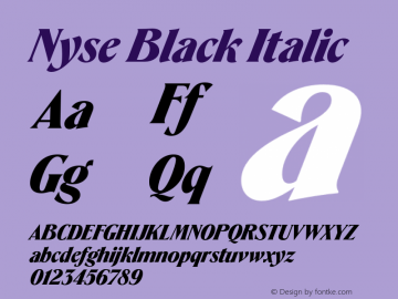 Nyse Black Italic Version 1.000;hotconv 1.0.109;makeotfexe 2.5.65596图片样张