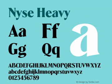 Nyse Heavy Version 1.000;hotconv 1.0.109;makeotfexe 2.5.65596图片样张