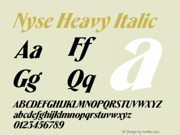 Nyse Heavy Italic Version 1.000;hotconv 1.0.109;makeotfexe 2.5.65596图片样张
