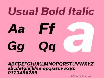 Usual Bold Italic Version 1.002图片样张