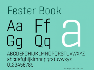 Fester Book Version 1.000;FEAKit 1.0图片样张