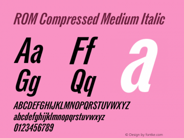 ROMCompressed-MediumItalic Version 1.000;hotconv 1.0.109;makeotfexe 2.5.65596图片样张