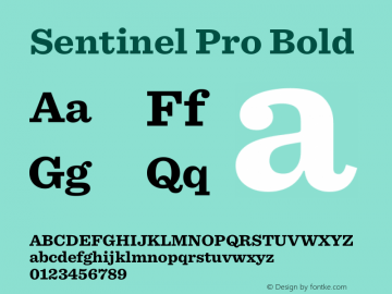 Sentinel Pro Bold Version 2.200 Pro图片样张