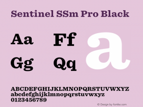 Sentinel SSm Pro Black Version 2.200 Pro图片样张