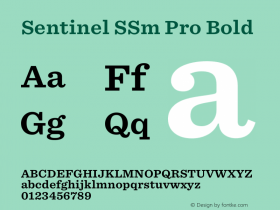 Sentinel SSm Pro Bold Version 2.200 Pro图片样张