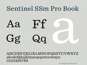 Sentinel SSm Pro Book Version 2.200 Pro图片样张