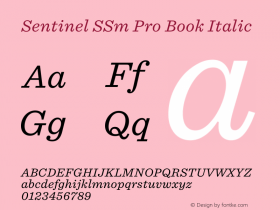 Sentinel SSm Pro Book Italic Version 2.200 Pro图片样张