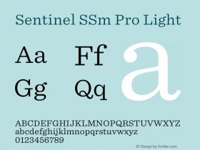 Sentinel SSm Pro Light Version 2.200 Pro图片样张