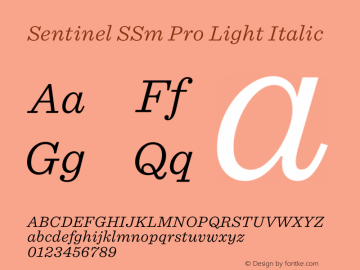 Sentinel SSm Pro Light Italic Version 2.200 Pro图片样张