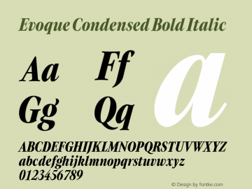 Evoque Condensed Bold Italic Version 1.100;FEAKit 1.0图片样张