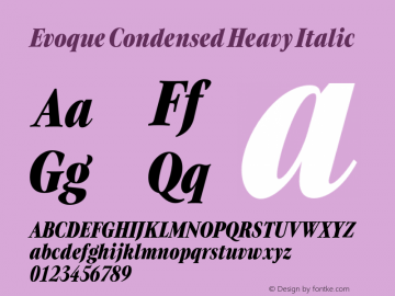 Evoque Condensed Heavy Italic Version 1.100;FEAKit 1.0图片样张