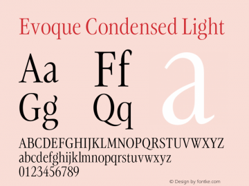 Evoque Condensed Light Version 1.100;FEAKit 1.0图片样张