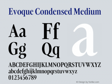 Evoque Condensed Medium Version 1.100;FEAKit 1.0图片样张