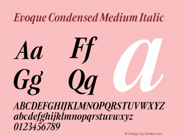 Evoque Condensed Medium Italic Version 1.100;FEAKit 1.0图片样张