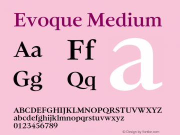 Evoque Medium Version 1.100;FEAKit 1.0图片样张