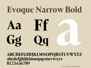 Evoque Narrow Bold Version 1.100;FEAKit 1.0图片样张