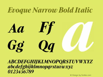 Evoque Narrow Bold Italic Version 1.100;FEAKit 1.0图片样张