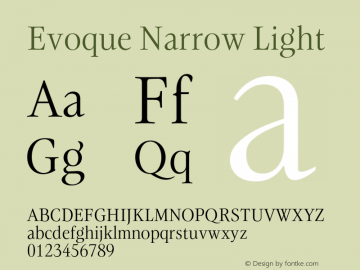 Evoque Narrow Light Version 1.100;FEAKit 1.0图片样张