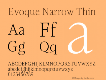 Evoque Narrow Thin Version 1.100;FEAKit 1.0图片样张