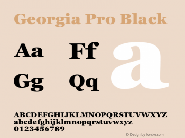 Georgia Pro Black Version 6.02图片样张