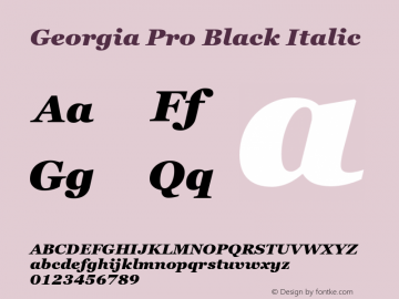 Georgia Pro Black Italic Version 6.02图片样张