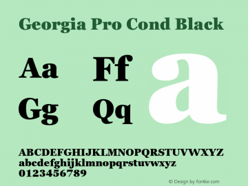 Georgia Pro Cond Black Version 6.02图片样张