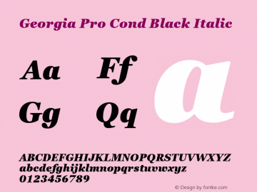 Georgia Pro Cond Black Italic Version 6.02图片样张