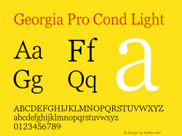 Georgia Pro Cond Light Version 6.02图片样张
