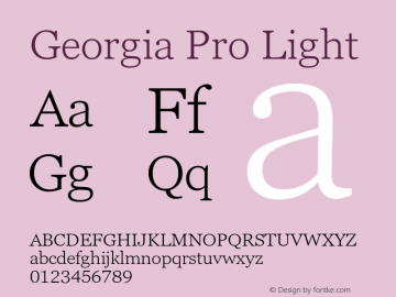 Georgia Pro Light Version 6.02图片样张