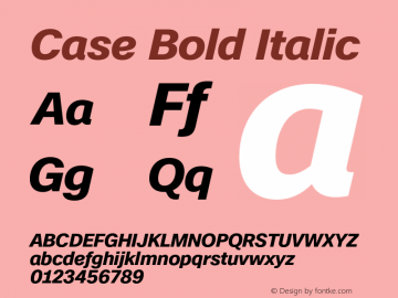 Case Bold Italic Version 1.001图片样张