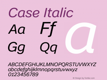 Case Italic Version 1.001图片样张