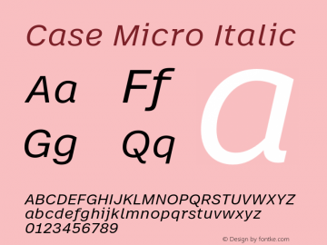 Case Micro Italic Version 1.001图片样张