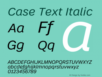 Case Text Italic Version 1.001图片样张