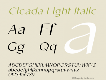 Cicada-LightItalic Version 1.000;hotconv 1.0.109;makeotfexe 2.5.65596图片样张