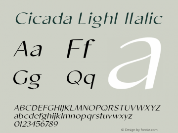 Cicada Light Italic Version 1.000;hotconv 1.0.109;makeotfexe 2.5.65596图片样张