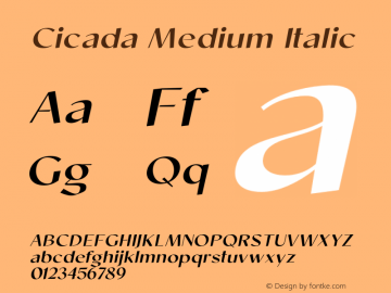 Cicada-MediumItalic Version 1.000;hotconv 1.0.109;makeotfexe 2.5.65596图片样张