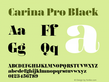 Carina Pro Black Version 7.504; 2016; Build 1020图片样张