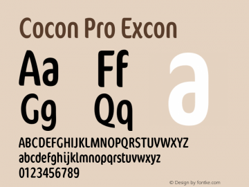Cocon Pro Excon Version 7.600图片样张